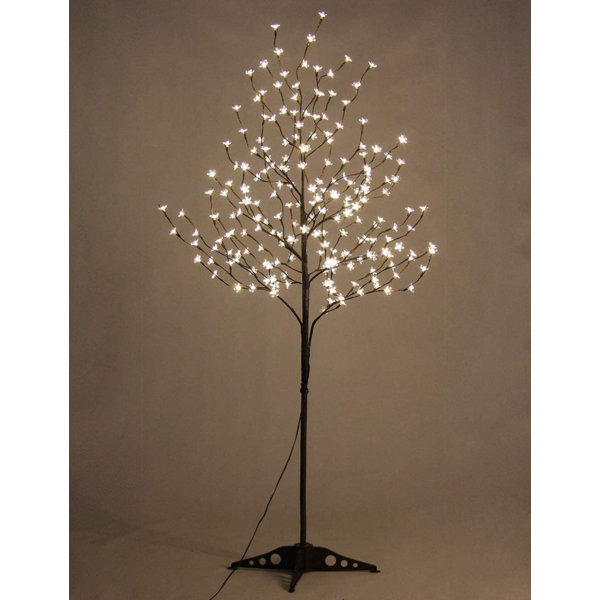 72'' LED Lighted Trees & Branches & Reviews Birch Lane